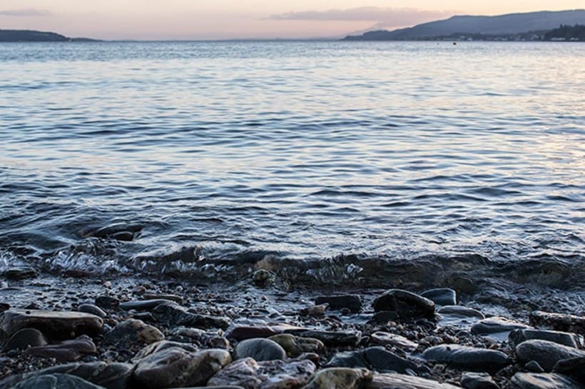 Shoreline